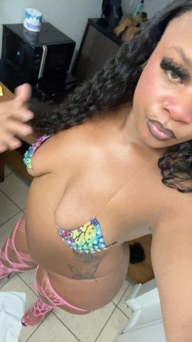 Upscale Client Only Female Escort — 2 Girls, Protected Service - 1