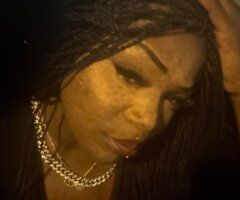 Miami Incall Female Escort — Head Only - Image 5