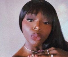 Miami Incall Female Escort — Head Only - Image 6
