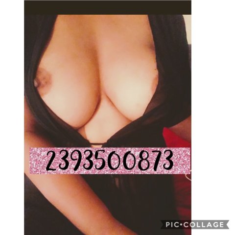 Fort Myers, FL Hot Curvy Mulata Escort - 1