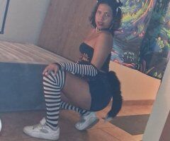 Polished Professional Female Escort in Tucson, AZ - Image 7