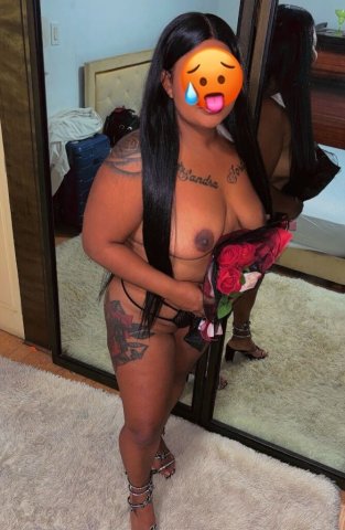 Michelle — Latina Brunette Escort (24) - 1