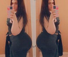 Tampa Female Escort — Italian Call/Text Now - Image 7