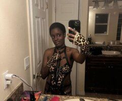 Orlando escorts - Victoria in Orlando (Incall Only) — 10pm-3am