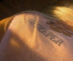 Thick BBW Fun with Bella Deals — St. Louis Out Calls w/ Deposit - Image 7