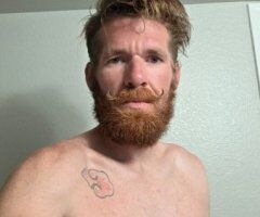 Just looking for fun right now. no donation - Image 2