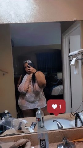 Houston BBW Female Escort — Incalls & Outcalls, Backdoor Available - 1