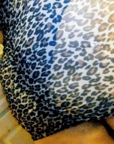 Violet Cash — Westchester NY BBW Latina Escort (Special Deals & Short BJ) - 1