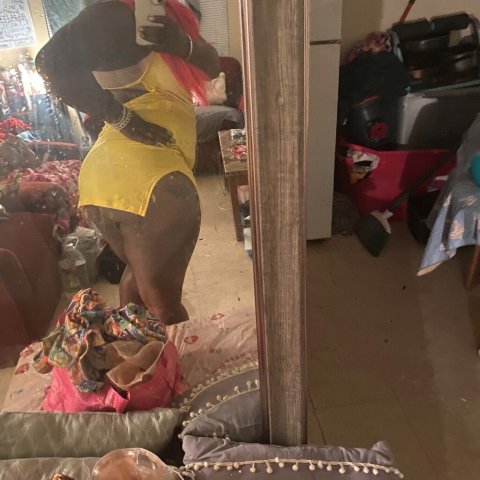 Thick & Curvy — Content Only (Texarkana) - 1