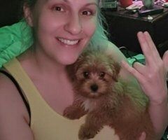 Mandi (45) Incall Reno — massages + oral - Image 7
