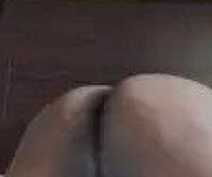 Exotic Pressure escort — pics & vids - Image 7