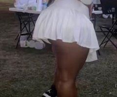 High Point NC Da stallion  — Special 2 girls option - Image 2