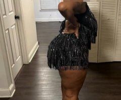 High Point NC Da stallion  — Special 2 girls option - Image 6
