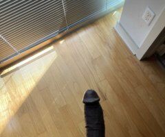 Fullfilling Your Desires 🍆 - Image 5