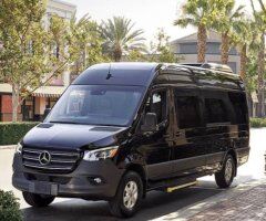 BBW Escort in a Big Black Sprinter Van — Driver Included (Manhattan) - Image 3