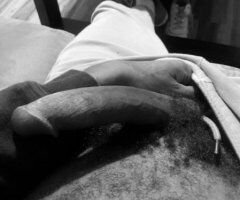 Houston escorts - big dick for cute face
