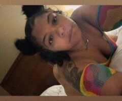 Charlotte escorts - Chubby Female Escort (QV Special) — Charlotte 24/7