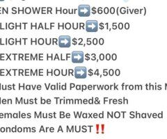 Richmond VA Escort — BDSM, Humiliation & 3some Sessions (Deposit Required) - Image 9