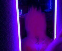 Corpus Christi Chubby Curves Snowbunny (Deaf) — In-Call/Outcall - Image 3