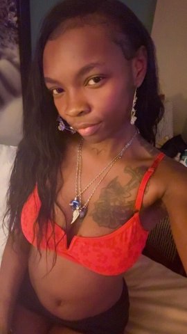 Phoenix Female Escort — Upscale, discreet companionship for time together - 1