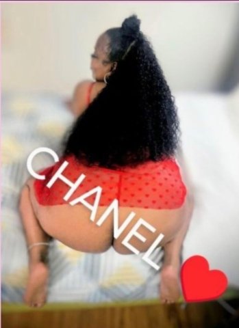 Tyler BBW Escort for Incall/Outcalls—Body Massage & Deep Throat - 1