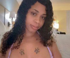 Orange County Cookie — Incall only specialist BBBJ (text for 25) - Image 6