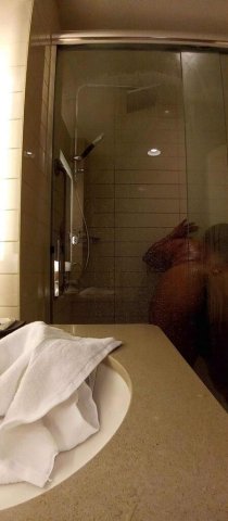 Wilmington DE Female Escort — incalls, outcalls, massages - 1