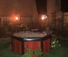 Cougar with Hot Tub + Jacuzzi Fun in Trenton, NJ - Image 9