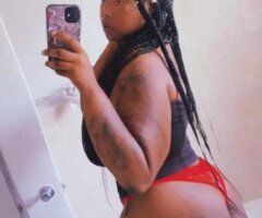 Chocolate-Themed Plush Escort — Video Verification, South Maryland/DC - Image 4