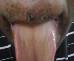 Kitty 😺 Licker looking for kitty 😺 to lick - Image 3