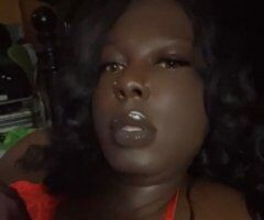North Mississippi Escort — Discreet Adult Services & Glove Policy - Image 6