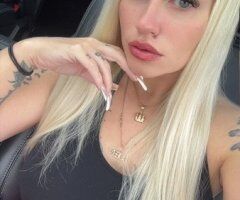 Upscale Companion (Low Volume) — Fort Myers - Image 3