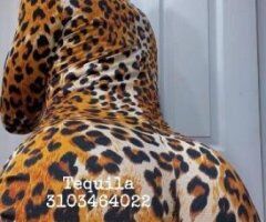 Long Beach Incall & FT Shows Escort — Tequila, feet & wet pussy - Image 7