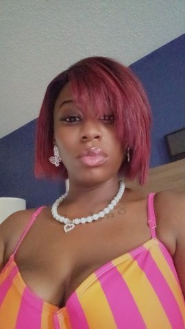 Chicago IL Female Escort — Early Bird Special - 1