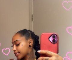 Palm Bay escorts - Palm Bay Female Escort — natural body, in/out calls