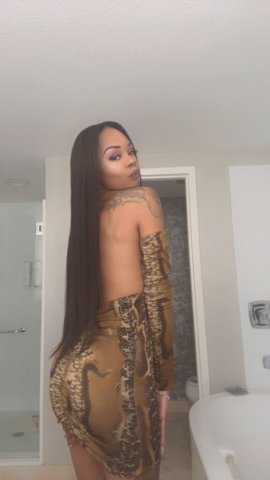 Reno NV Professional Escorts — Incalls & Outcalls Available Now - 1