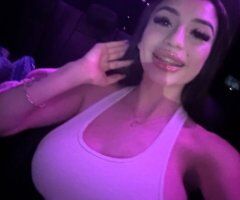 Petite Princess Escort — Small, Petite - Image 3