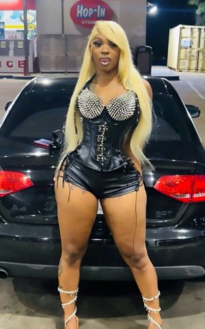 Birmingham AL 2-Girl Full Service GFE, 420 & Fetish-Friendly - 1
