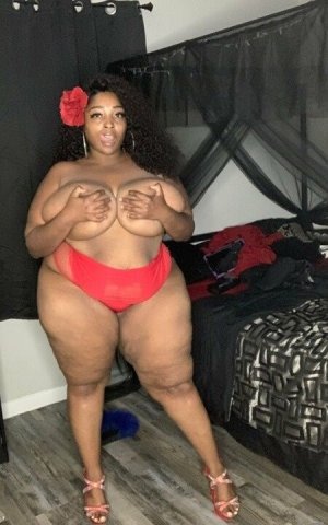 York, PA BBW Female Escort — Incall/Outcall, Car Dates, Content & Facetime - 1
