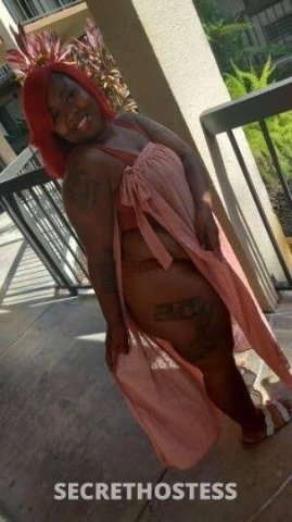 Tampa Party Girl Escort — Text for dtf - 1
