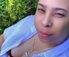 Blakita Linda Latina - Image 2