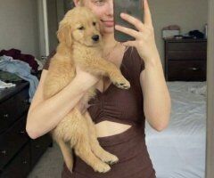 Allentown PA Sexy Female Escort — Incall/Outcall, Car & Hotel - Image 5