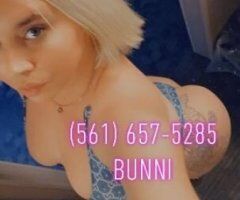 Palm Beach Bunny  Ft Wayne IN Female Escort — 30+ minute Playmate - Image 5