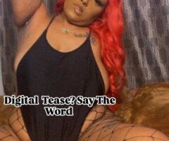 New Haven FaceTime & Private Content Shows - Image 2