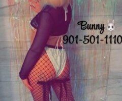 Bunny — Female Escort in Tri-Cities, TN (Incalls Only) - Image 7