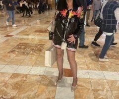 Miami escorts - Miami Female Escort — Ranch-style madam with 38D breasts