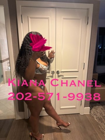 Chocolate Companion in Largo — professional, attentive vibe - 1