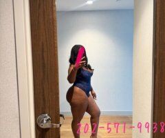 Chocolate Companion in Largo — professional, attentive vibe - Image 2
