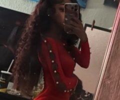 Little Rock Female Escort — 24, no bare, no BBJ, no girlfriend activity - Image 3