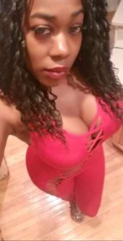 Northern Virginia Female Escort — tall legs & 38DDs - 1